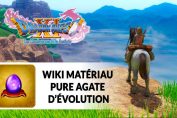 dragon-quest-11-pure-agate-evolution