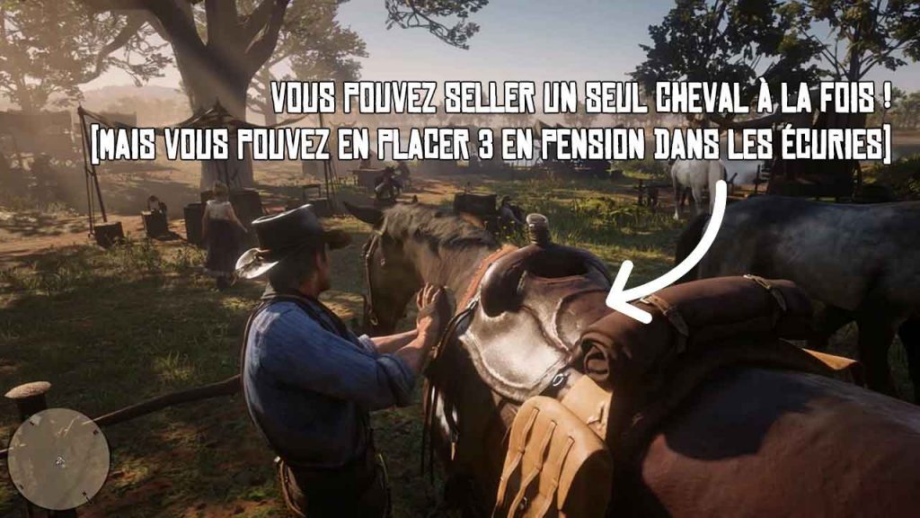 guide-avoir-un-chaval-red-dead-redemption-2