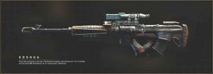 koshka-fusil-de-precision-black-ops-4