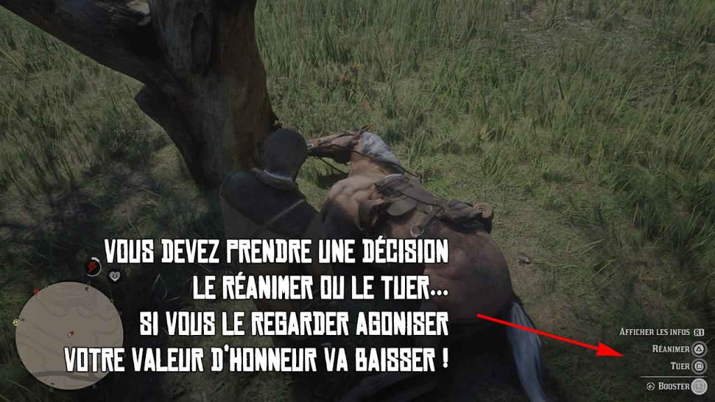 le-guide-des-chevaux-red-dead-redemption-2