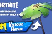 comment-obtenir-palmier-de-gloire-planeur-saison-8-fortnite