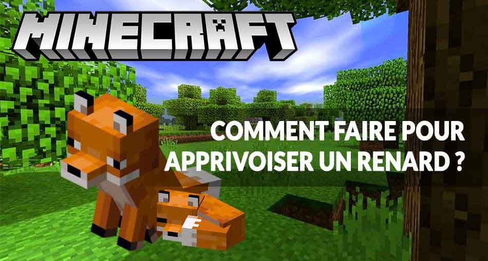 Guide Minecraft 1 14 Comment Faire Pour Apprivoiser Un Renard