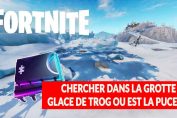 fortnite-grotte-de-trog-emplacement-puce-49