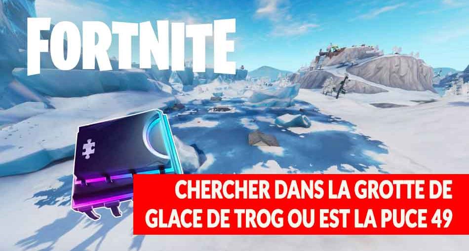 fortnite-grotte-de-trog-emplacement-puce-49