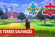 toutes-les-infos-sur-les-terres-sauvages-de-pokemon-epee-bouclier