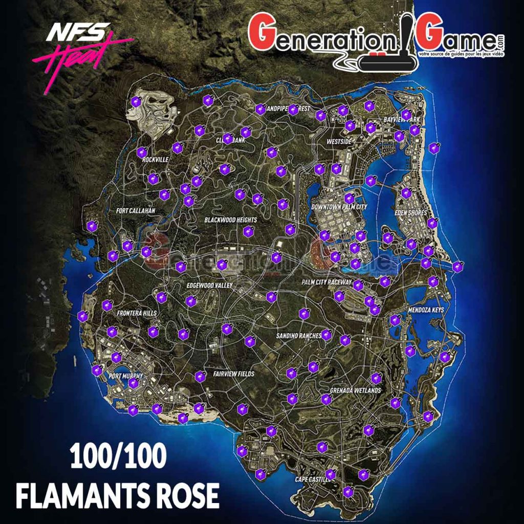 carte-map-complete-flamants-roses-en-neon-need-for-speed-heat