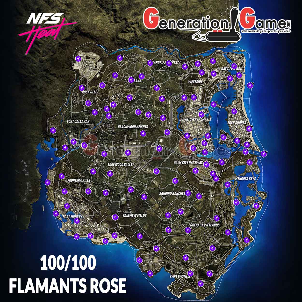 carte-map-complete-flamants-roses-en-neon-need-for-speed-heat.