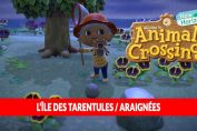 animal-crossing-new-horizons-ile-tarentule-araignee-tuto