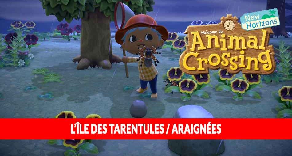 animal-crossing-new-horizons-ile-tarentule-araignee-tuto