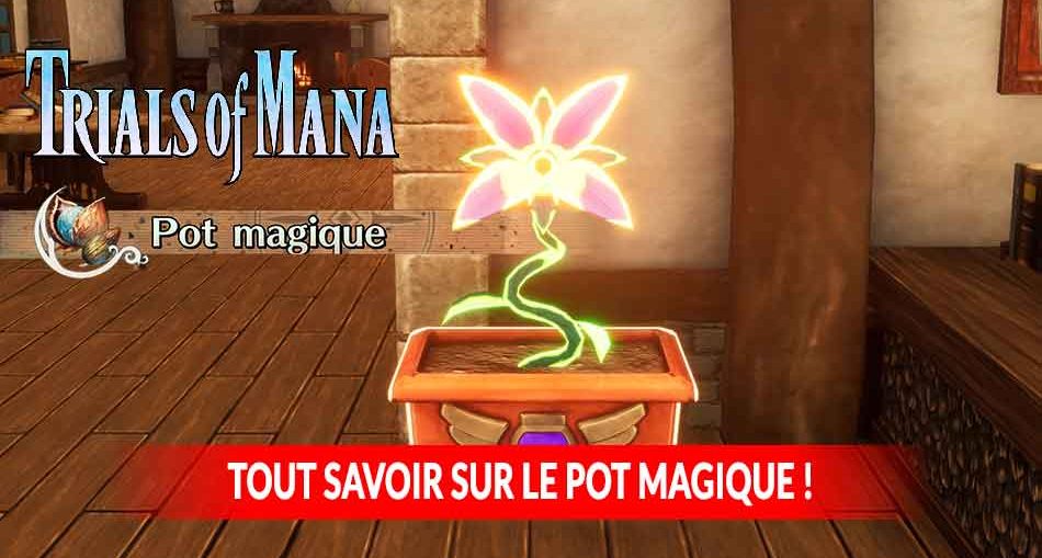 tout-savoir-sur-le-pot-magique-a-graines-de-trials-of-mana