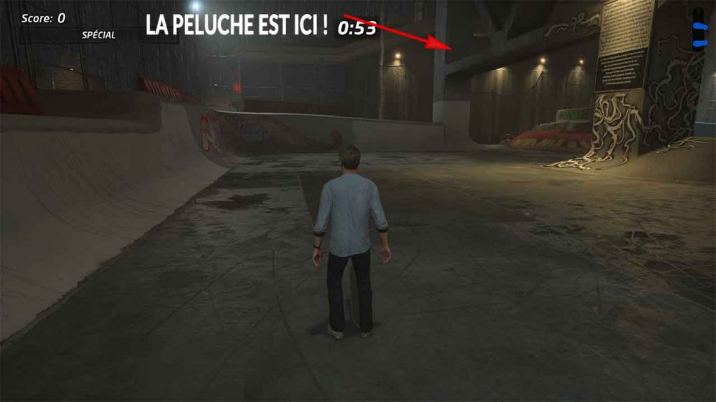 emplacement-peluche-7-burnside-tony-hawks