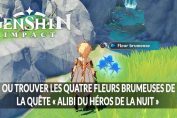 Genshin-Impact-emplacements-des-fleurs-brumeuses