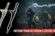 guide-demons-souls-tranche-demon-et-devore-ame