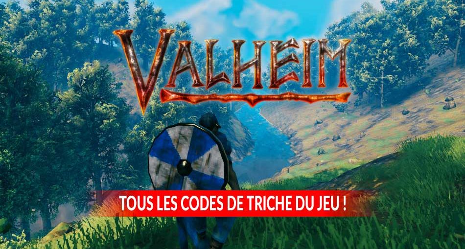 tous-les-codes-de-triche-pour-le-jeu-Valheim-sur-pc