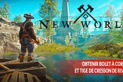 new-world-objet-ressource-bolet-a-corolle-tige-de-cresson