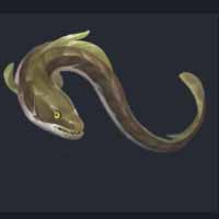 poisson-petite-anguille-guide-de-peche-ruined-king
