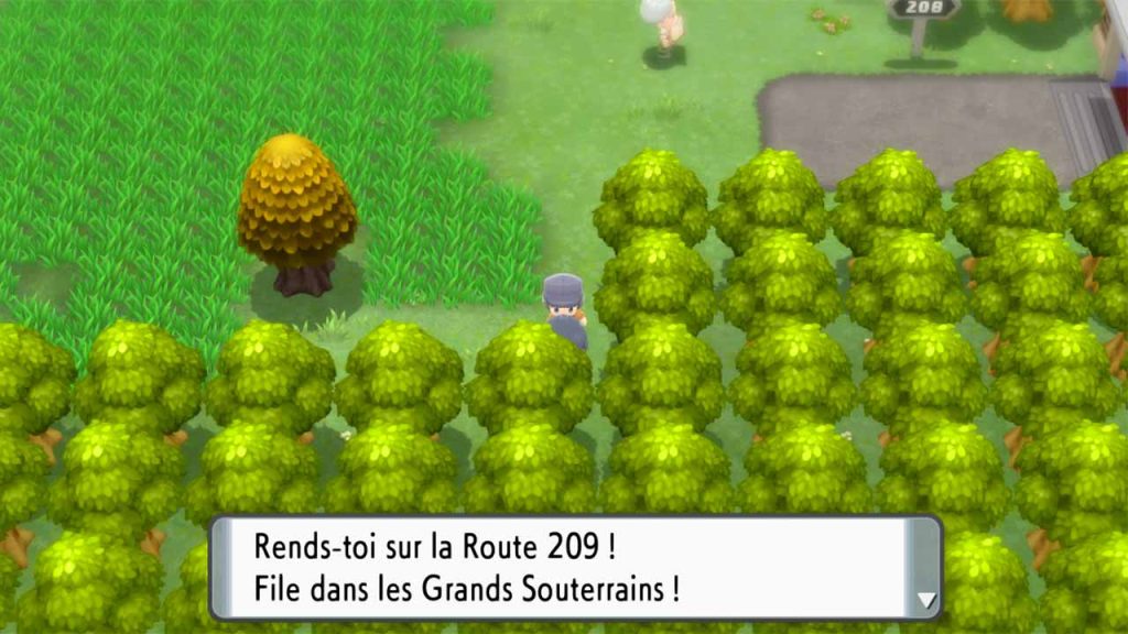 emplacement-cle-de-voute-Pokemon-Diamant-Etincelant-Perle-Scintillante