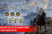 elden-ring-guide-graines-dores-larmes-de-vie-fiole-de-soin