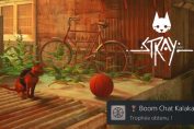 Stray-trophee-boom-chat-kalaka