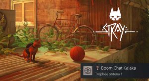 Stray-trophee-boom-chat-kalaka