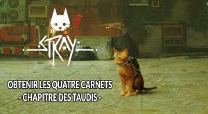 stray-guides-carnets-momo-chapitre-taudis