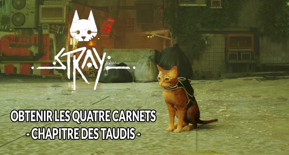 stray-guides-carnets-momo-chapitre-taudis