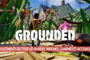 guide-emplacements-des-accessoires-equipements-de-grounded