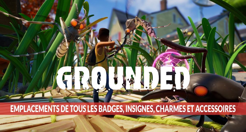guide-emplacements-des-accessoires-equipements-de-grounded
