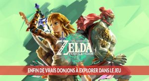 The-Legend-of-Zelda-Tears-of-the-Kingdom-donjons-exploration
