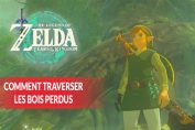guide-pour-traverser-les-bois-perdus-dans-zelda-TOTK