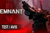test-avis-remnant-2
