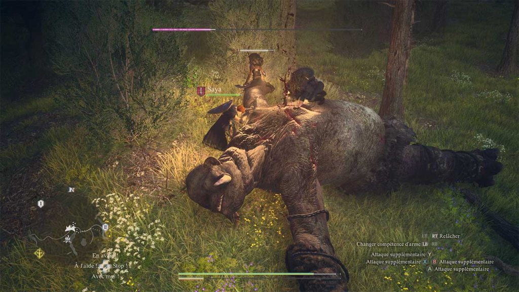 combat-contre-un-troll-dragons-dogma-2