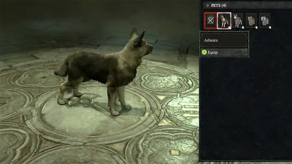 animaux-de-compagnie-chien-diablo-4