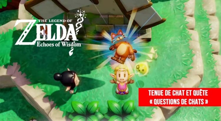 Zelda-Echoes-of-Wisdom-trouver-tenue-de-chat-et-terminer-quete-Questions-de-Chats