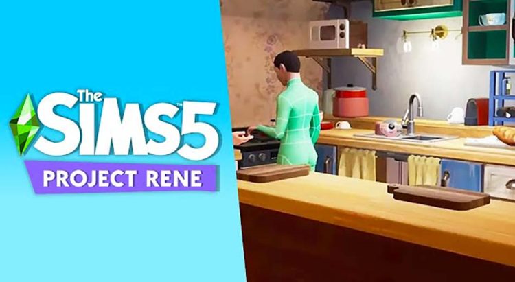 annulation-des-sims-5-projet-rene-EA